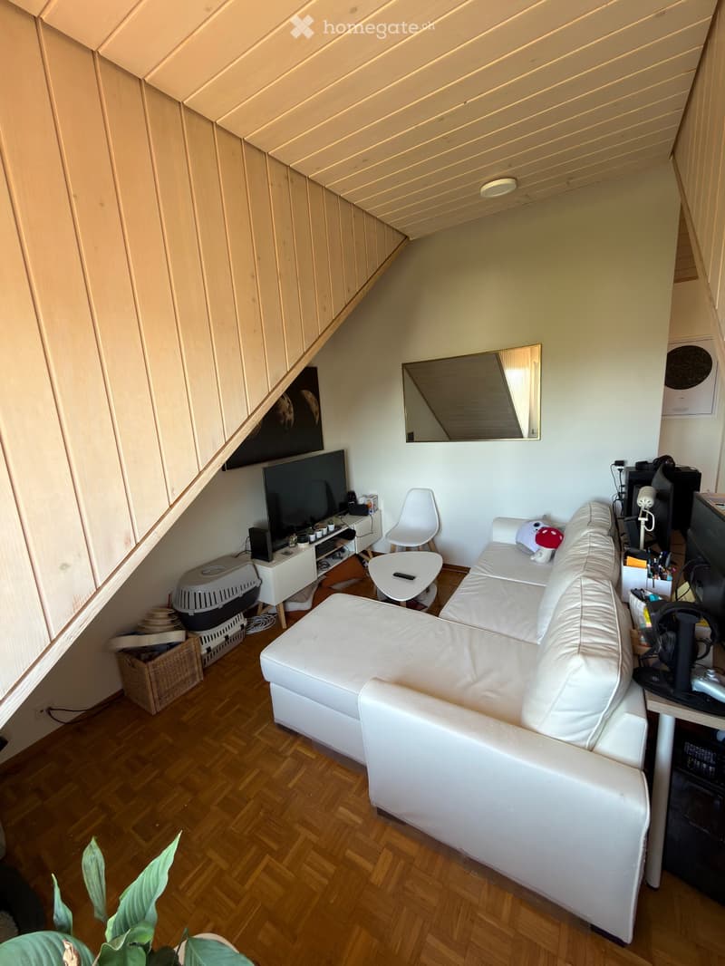 Charmant duplex à Echandens (4)