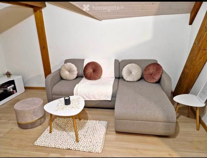 URGENT Reprise de bail duplex (2)