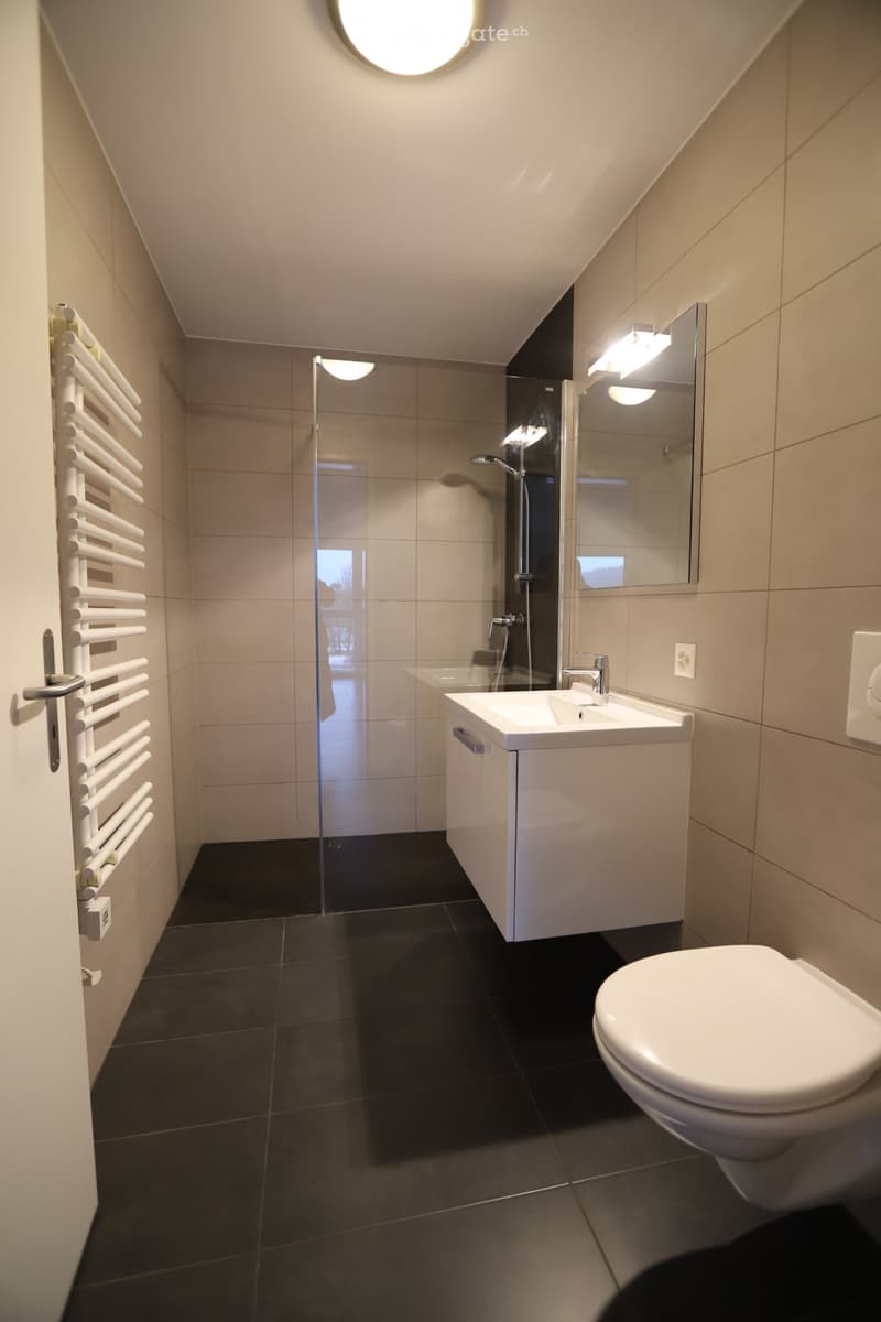 Grand appartement lumineux de 2 pièces (3)