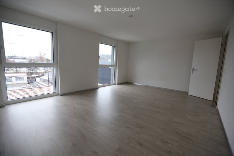 Grand appartement lumineux de 2 pièces (4)