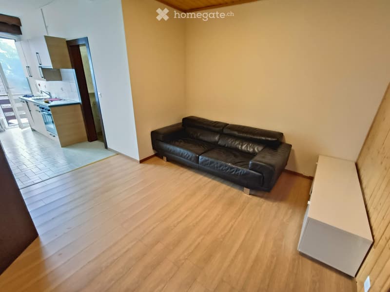 Joli appartement meublé 2.5p à louer (5)