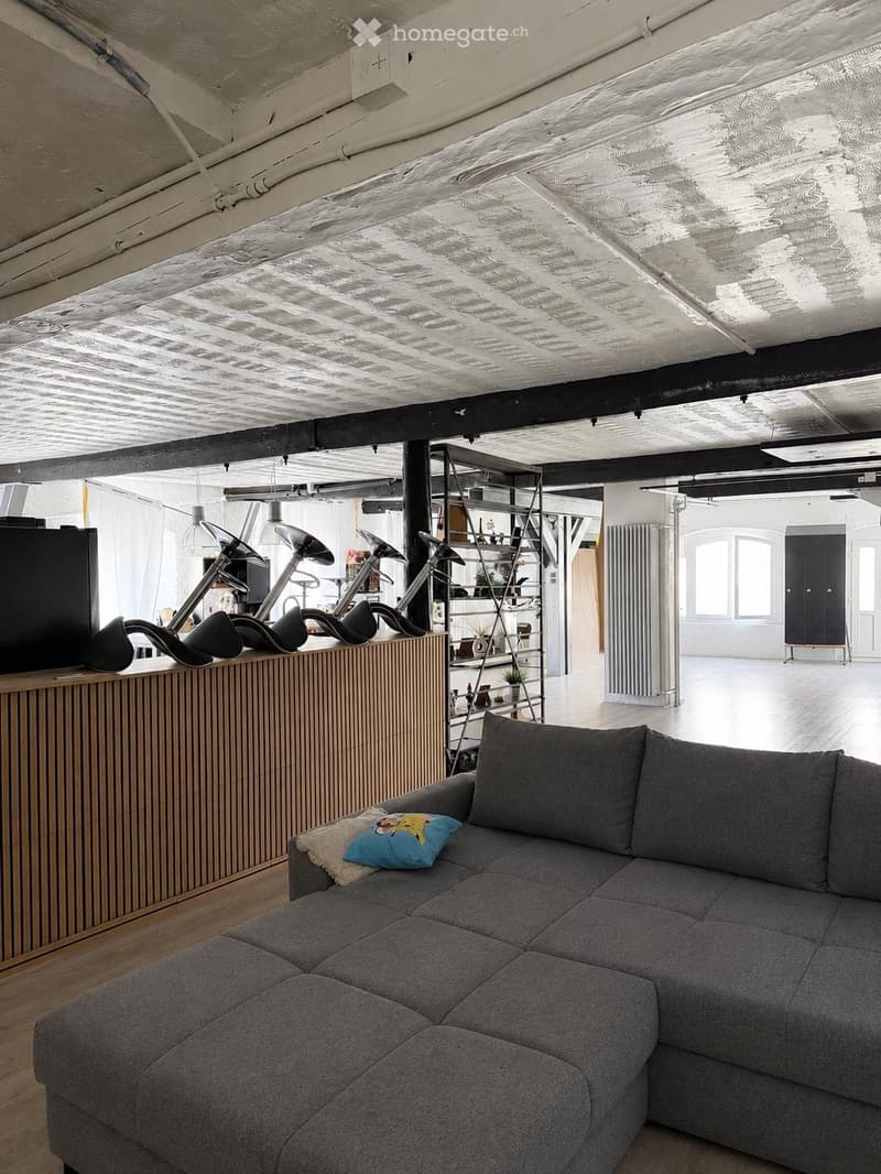 Loft de 200m2 au rez-de-chaussée (4)