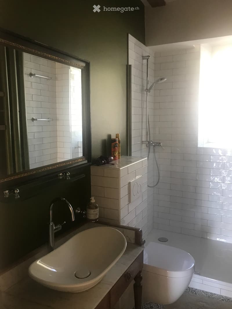 Location meublée pour personnes calmes (4)