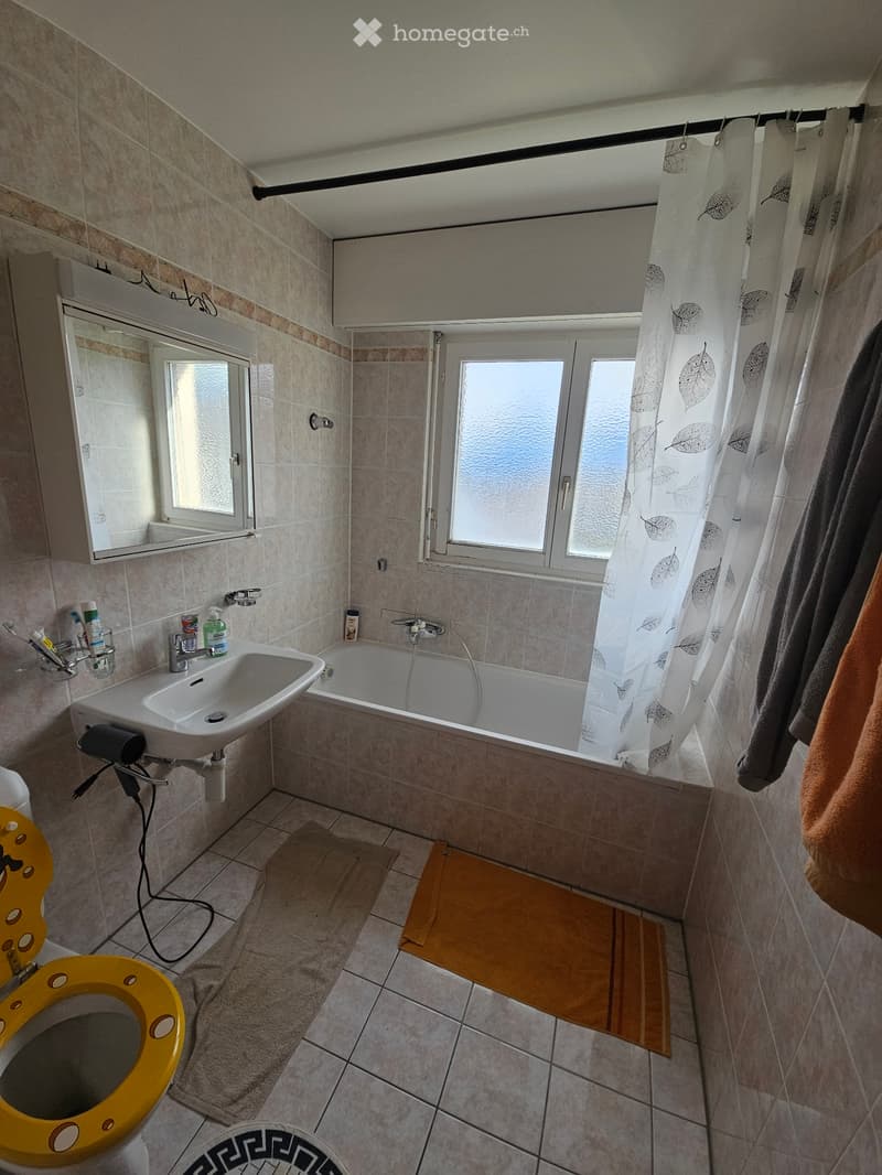 Chambre à louer en colocation (5)