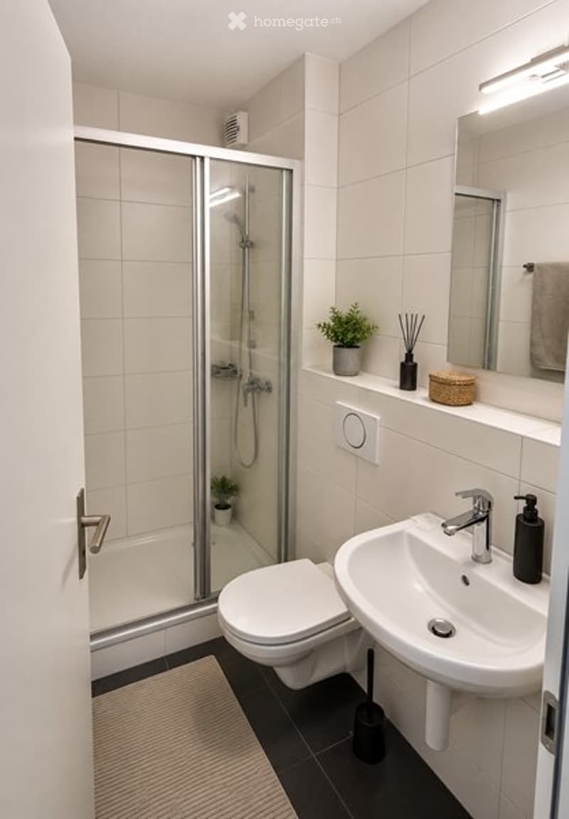 Günstige 5.5 Zimmerwohnung mit Aussicht (2)