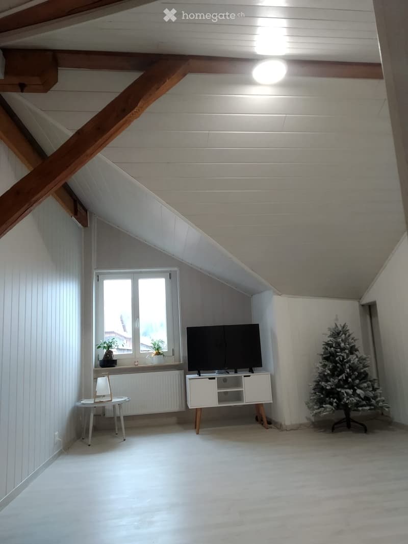 Spacieux 5½pcs de 160m2 (6½pcs) (5)