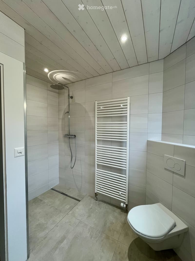 Spacieuse maison avec grand jardin et serre (3)