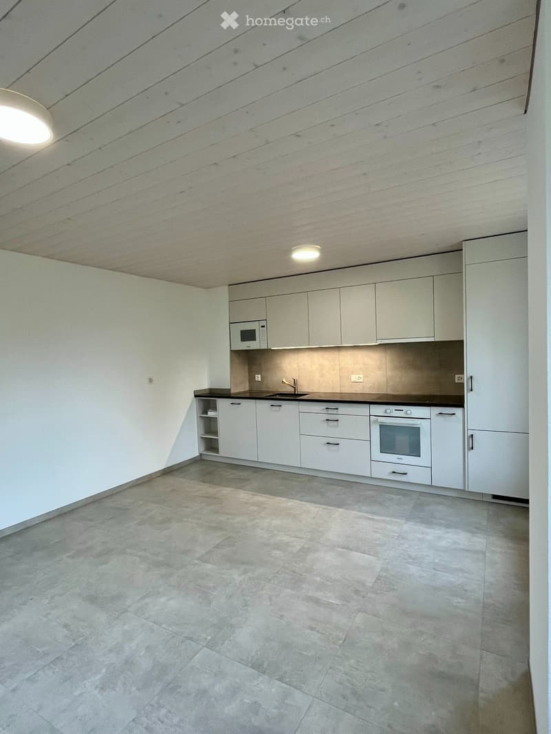 Spacieuse maison avec grand jardin et serre (2)