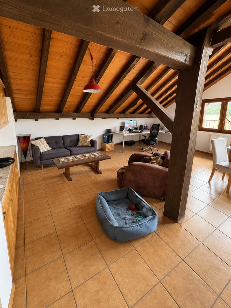 Magnifique 3 pces aux combles (1)