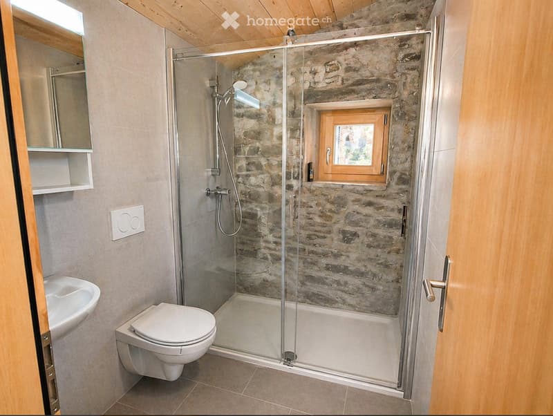 Magnifique chalet / grange rénovée (3)