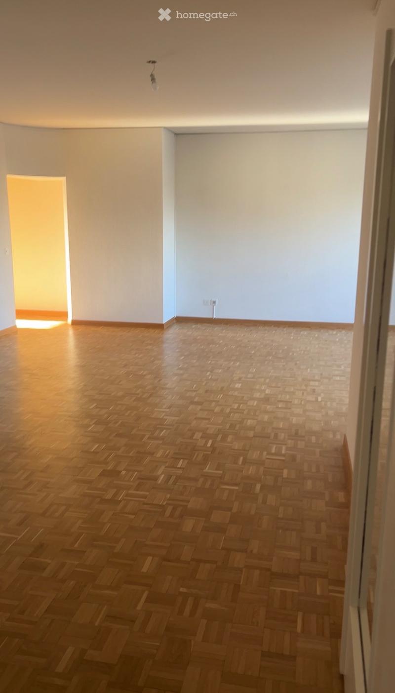 LEASE TAKEOVER Exceptional 5-Room Apartment /Eaux-Vives (5)