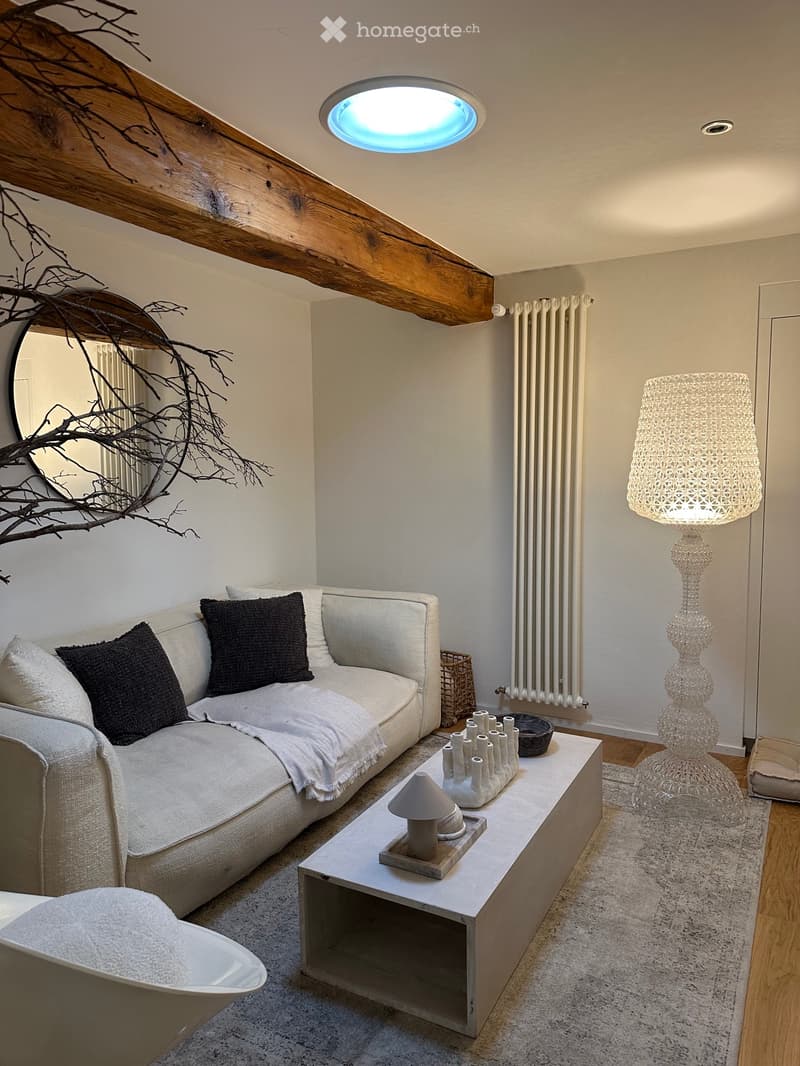Rare - Magnifique appartement - Château - vue lac (5)