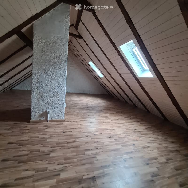 Lumineux triplex de 6 pièces à Sonvilier (5)