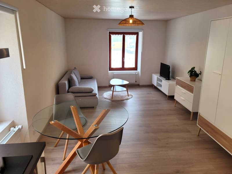 Studio meublé et entièrement équipé (2)