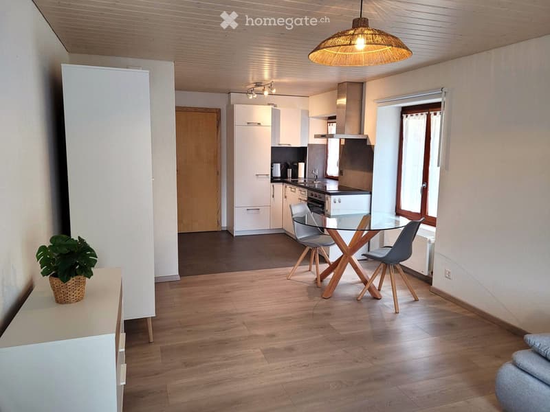 Studio meublé et entièrement équipé (1)