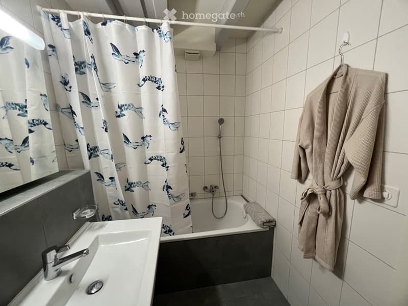 Chambre meublée avec salle de bain privé et place de parking (3)