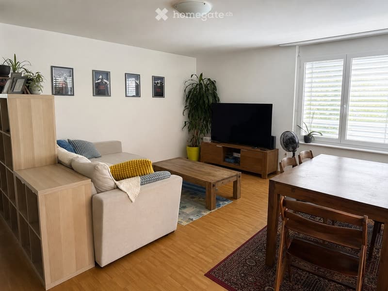 Appartement de 3 chambres avec terrasse/petit jardin / Rolle (2)