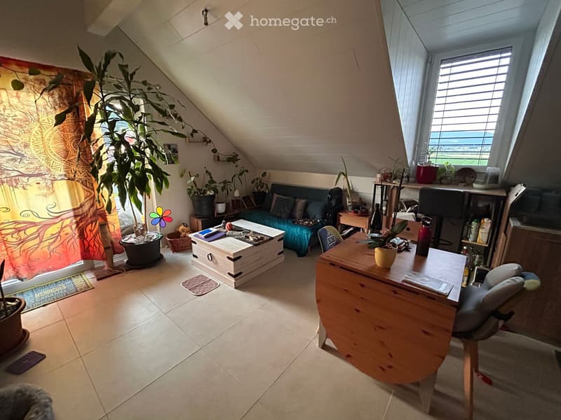 Appartement 3,5 pièces avec balcon (2)