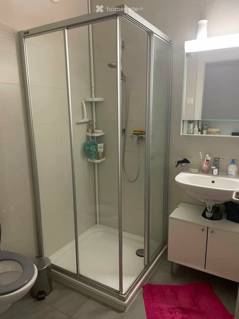 CHAMBRE À LOUER EN COLOCATION ROUTE DE LA CLOCHATTE (3)