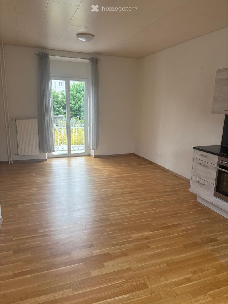 Appartement rénové en 2020, grande hauteur de pièce (3)