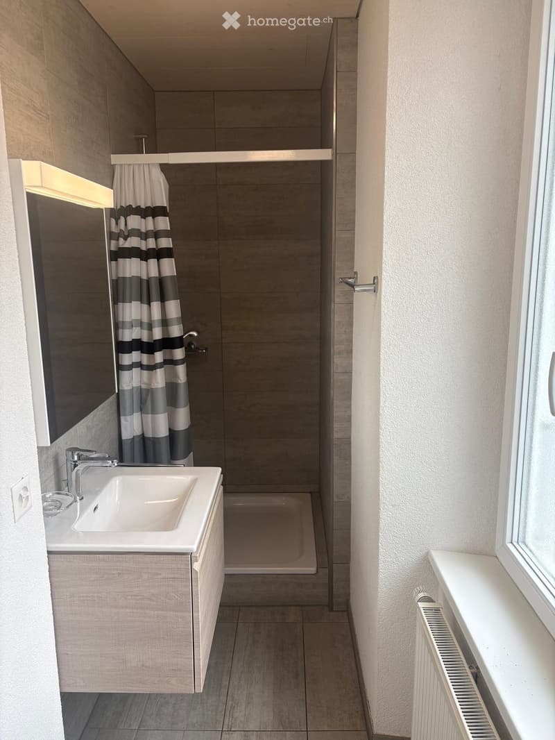 Appartement rénové en 2020, grande hauteur de pièce (5)