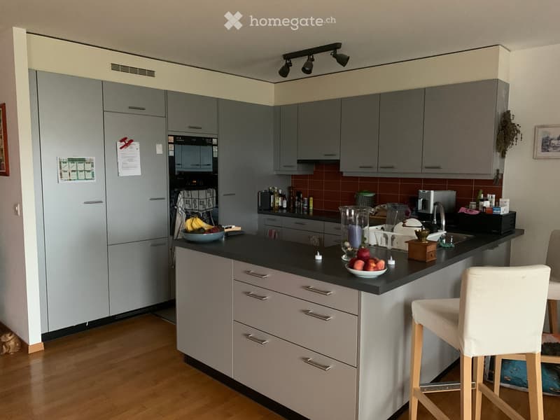 Reprise de bail magnifique appartement 4.5 pcs (2)
