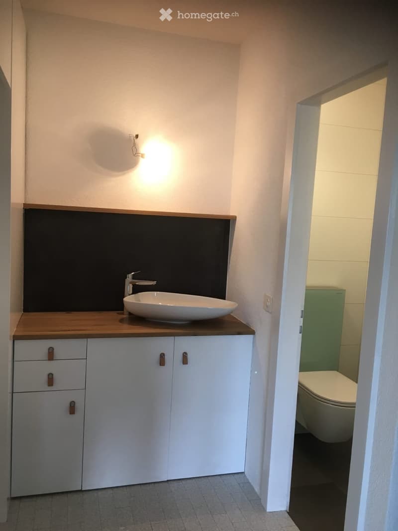 Appartement 6 1/2 - à louer dès octobre (4)