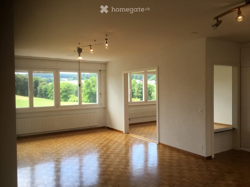 Appartement 6 1/2 - à louer dès octobre (1)