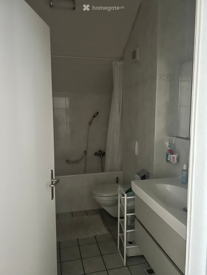 Spacieux appartement de 5,5 pièces avec mezzanine (5)
