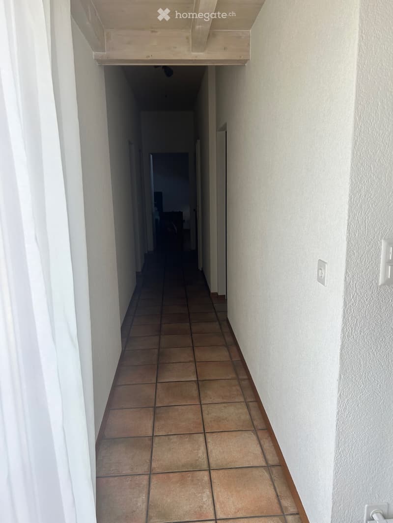 Spacieux appartement de 5,5 pièces avec mezzanine (4)