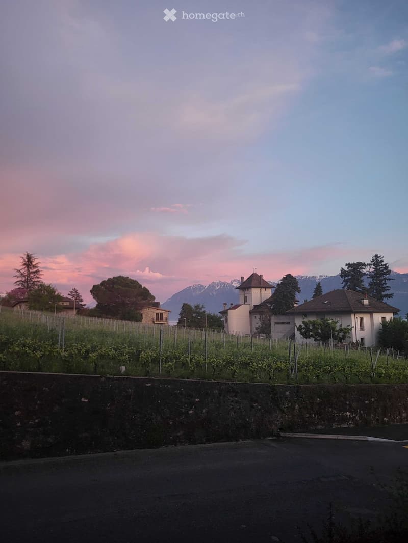 Beautiful 1.5 studio in Lutry 3 min to train station & lake (4)