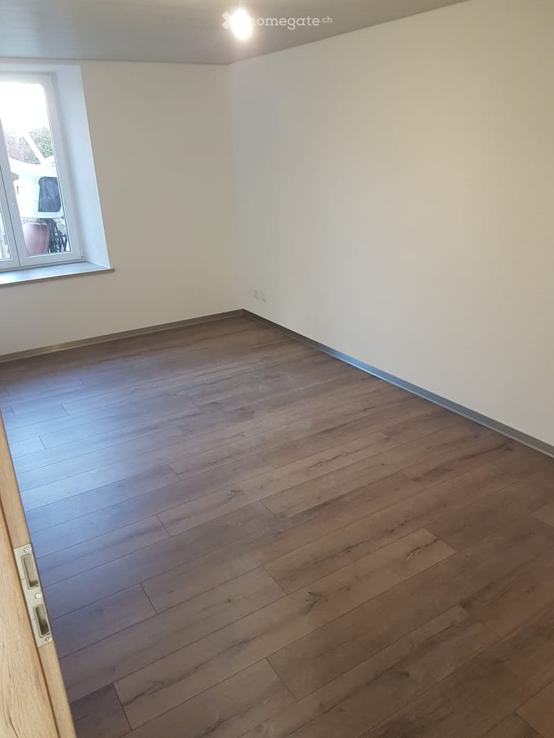 Appartement entièrement rénové, lumineux, 3,5 pièces (4)