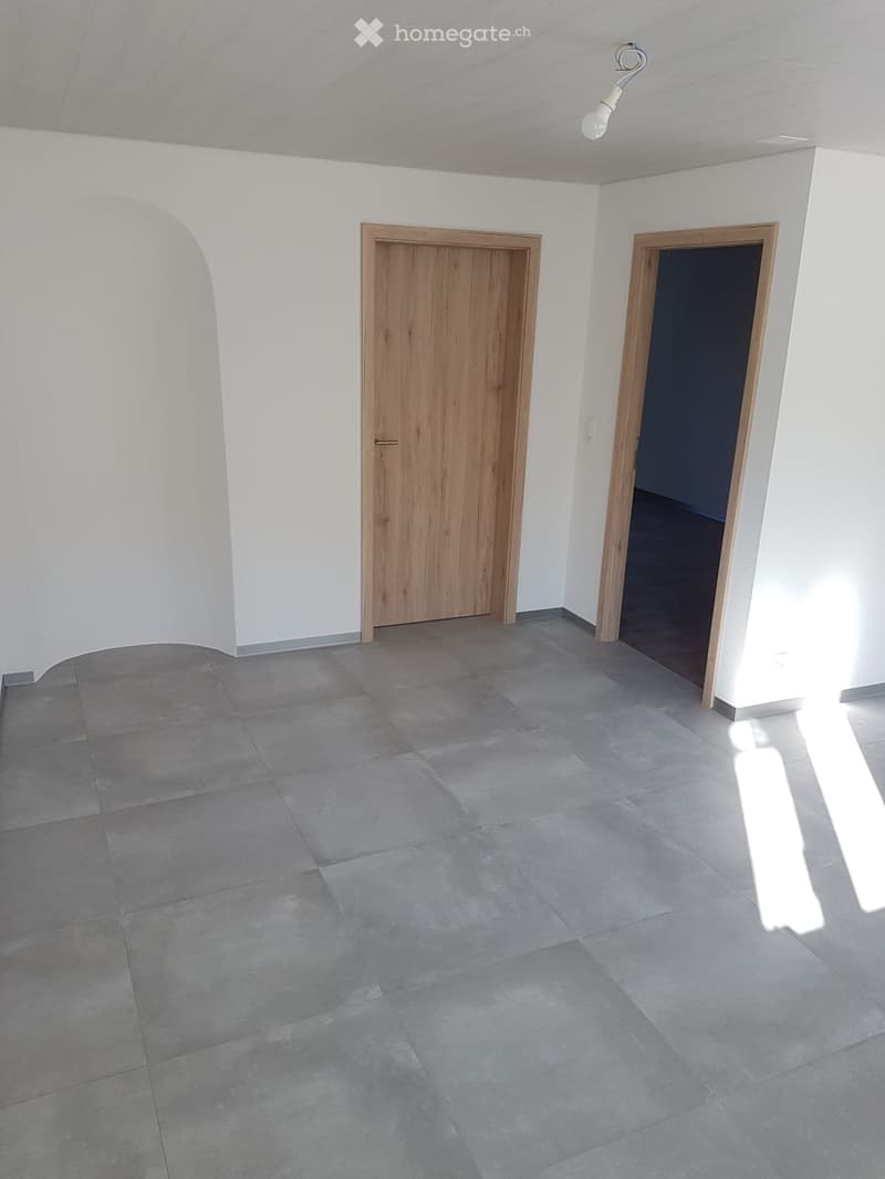 Appartement entièrement rénové, lumineux, 3,5 pièces (2)