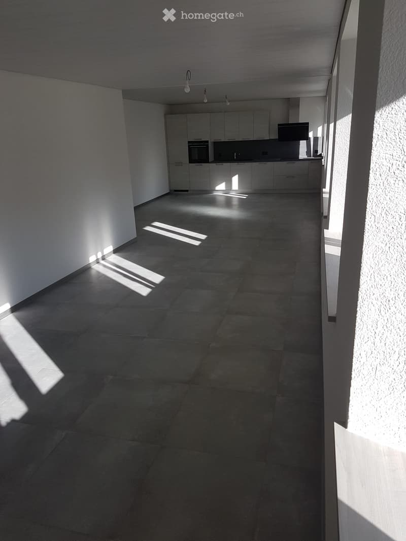 Appartement entièrement rénové, lumineux, 3,5 pièces (5)