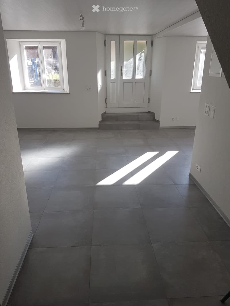 Appartement entièrement rénové, lumineux, 3,5 pièces (1)