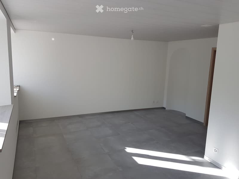 Appartement entièrement rénové, lumineux, 3,5 pièces (3)
