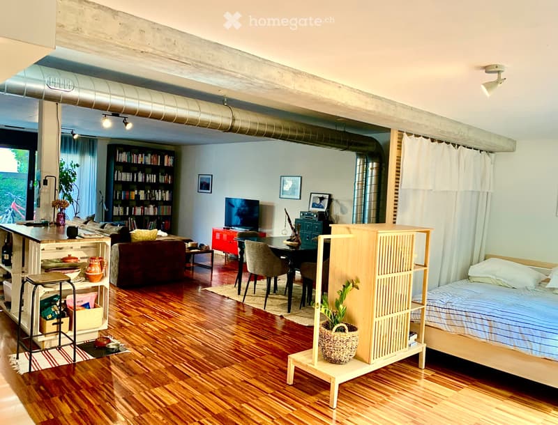 LOFT au REZ de CHAUSSEE (4)