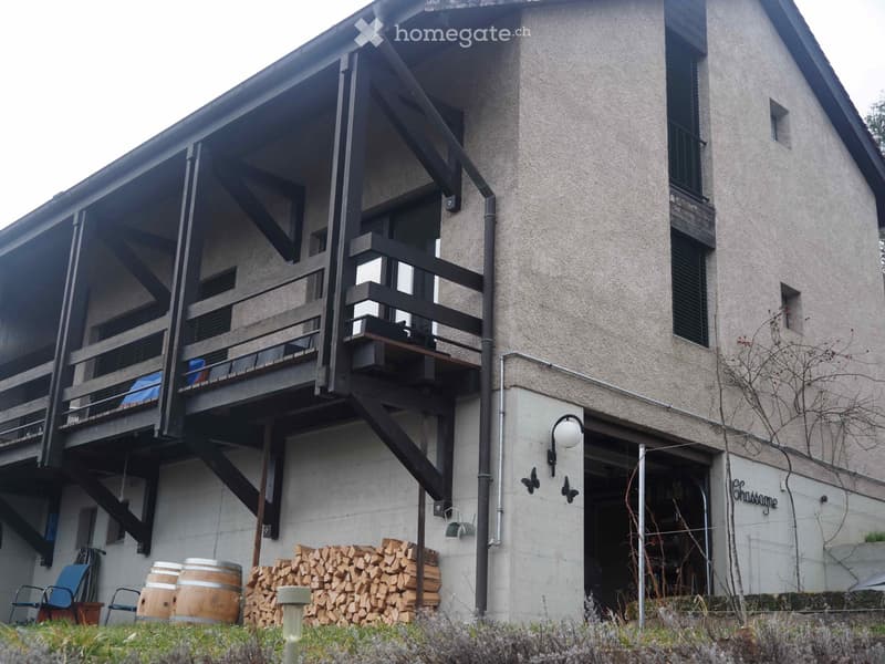 Montcherand - A louer belle villa 6,5 pces (1)