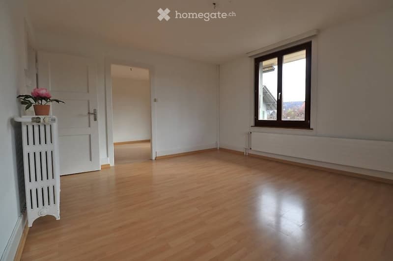 Grosse, helle, gemütliche Wohnung (2)