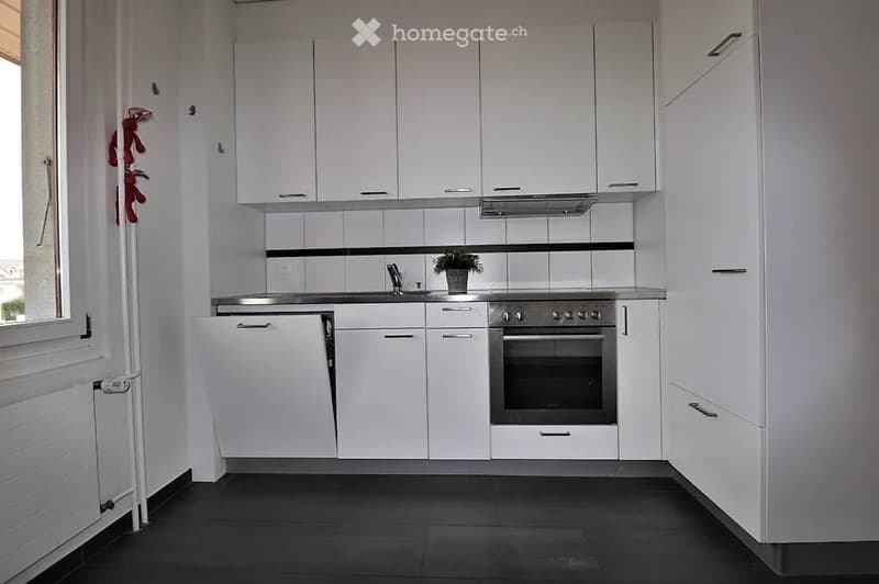 Grosse, helle, gemütliche Wohnung (1)
