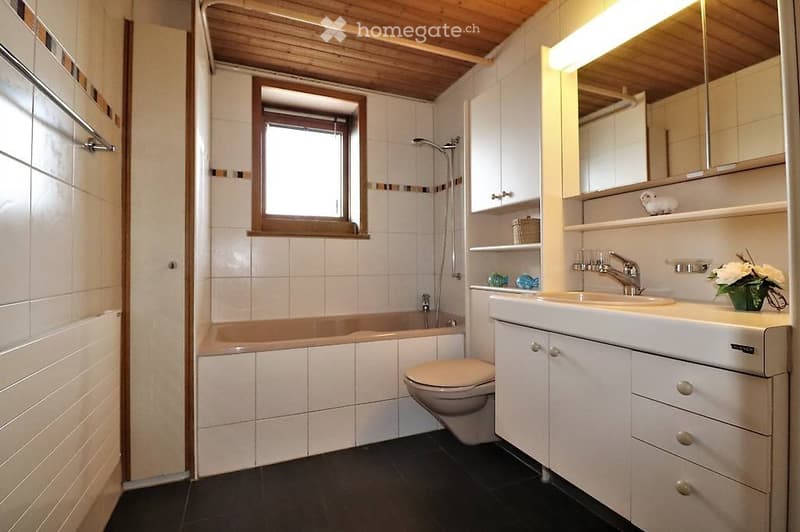 Grosse, helle, gemütliche Wohnung (3)
