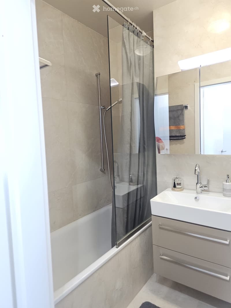 Location appartement 4pc neuf (3)