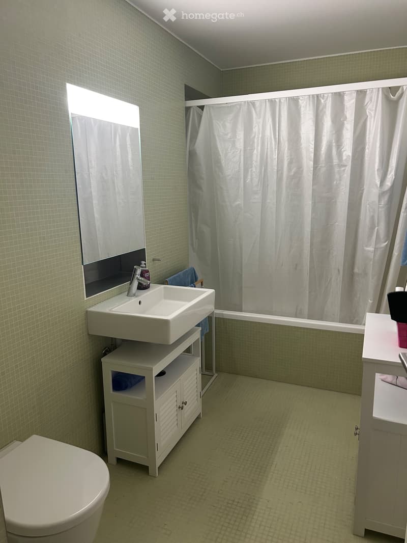 À louer - Appartement 4.5 pièces avec poste de conciergerie (5)