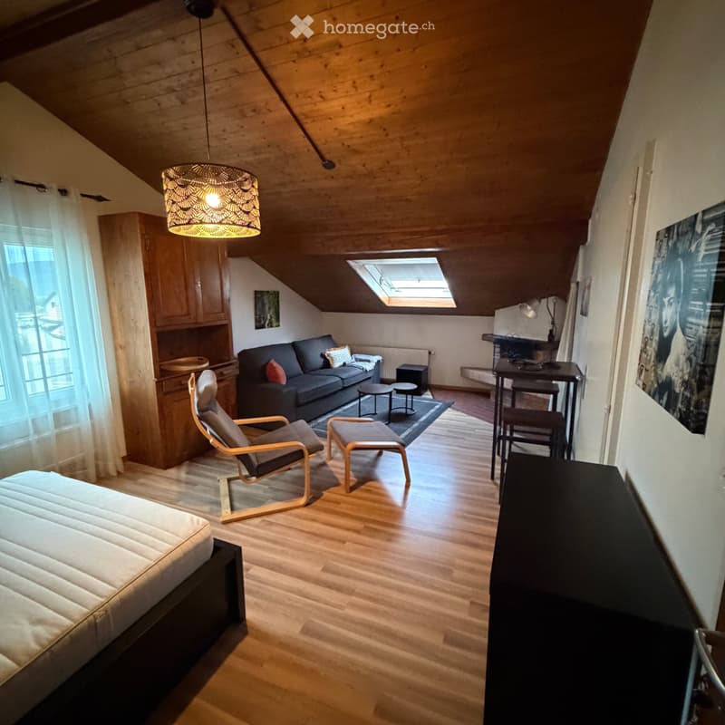 Studio meublé avec cachet (4)
