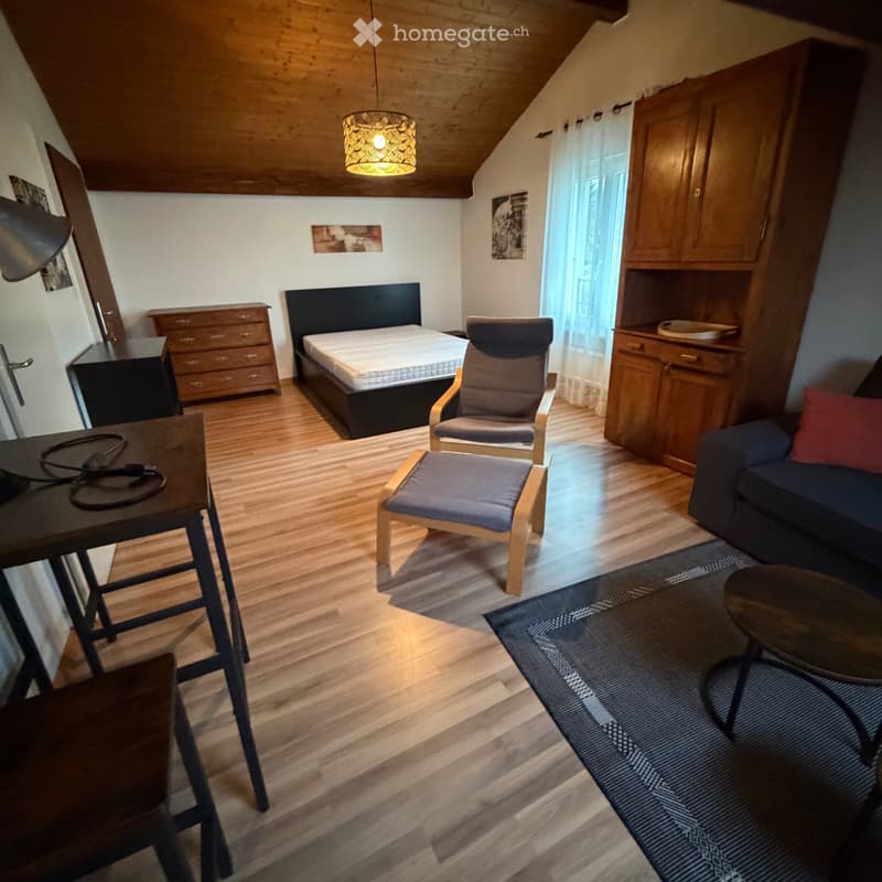 Studio meublé avec cachet (3)