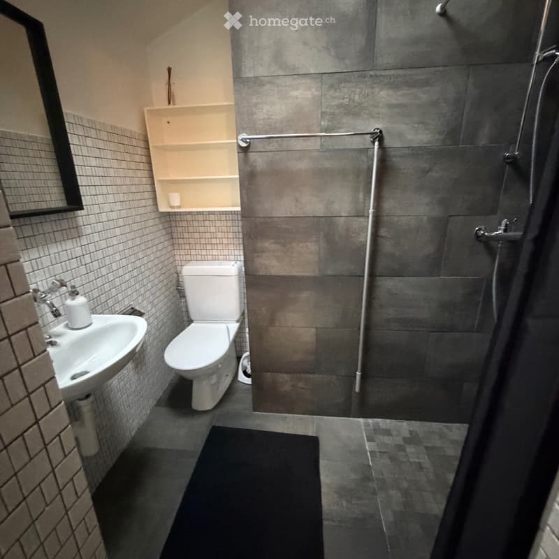 Studio meublé avec cachet (2)