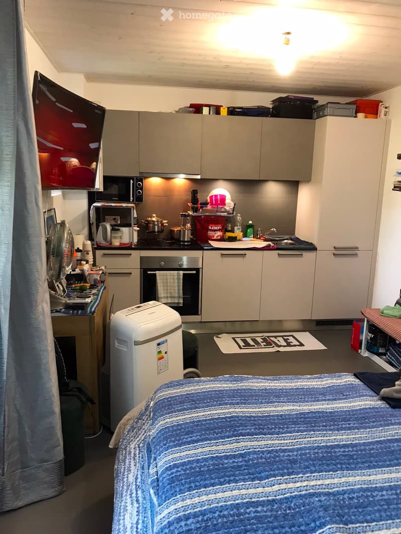 Charmant studio à louer à Belmont-sur-Lausanne (1)