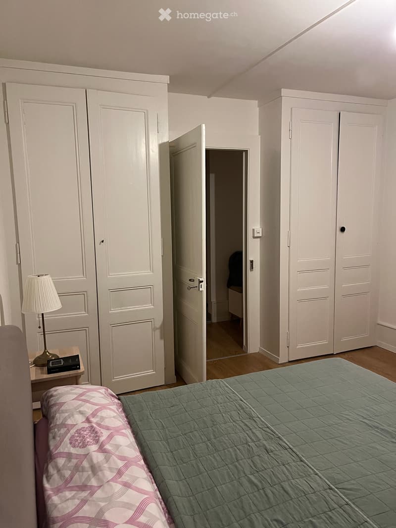 Appartement 4 pièces rénové au centre de Colombier (3)