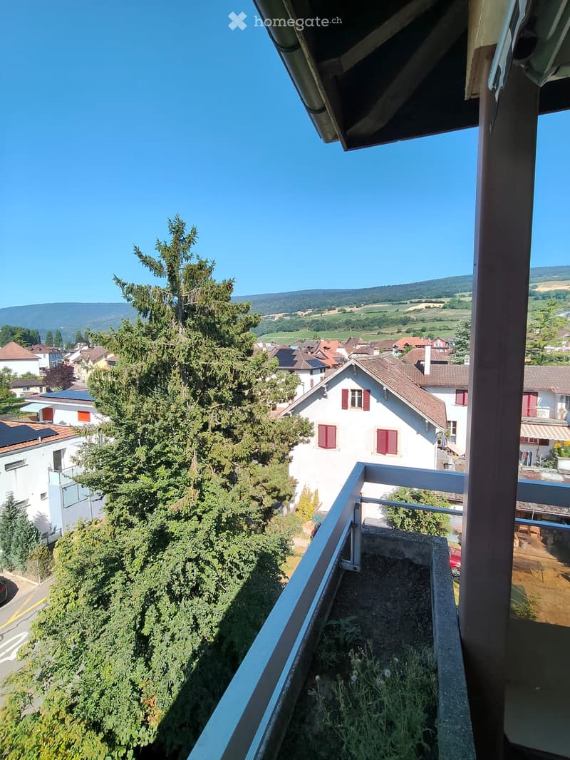 superbe appartement 4.5 pièces - disponible immédiatement (1)