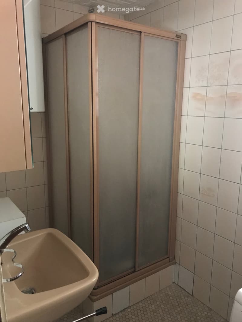Appartement 3.5 pièces à louer à l'année (4)